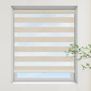Natural Woven Zebra Blinds