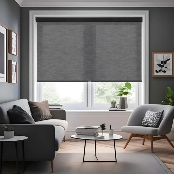 Light Filtering Roller Shades With Jacquard Pattern - Image 2
