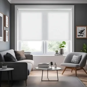 Light Filtering Roller Shades With Jacquard Pattern